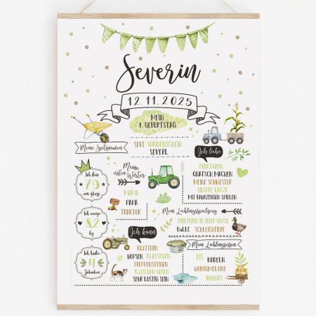 Baby Meilensteintafel zum Geburtstag Traktor Bauernhof Tiere Katze Ente Landwirtschaft Heu Schubkarre
